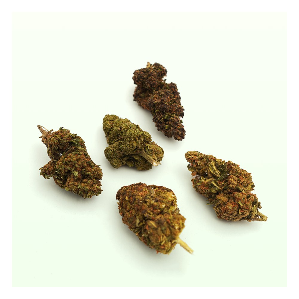 Pack Découverte 5 fleurs CBD
