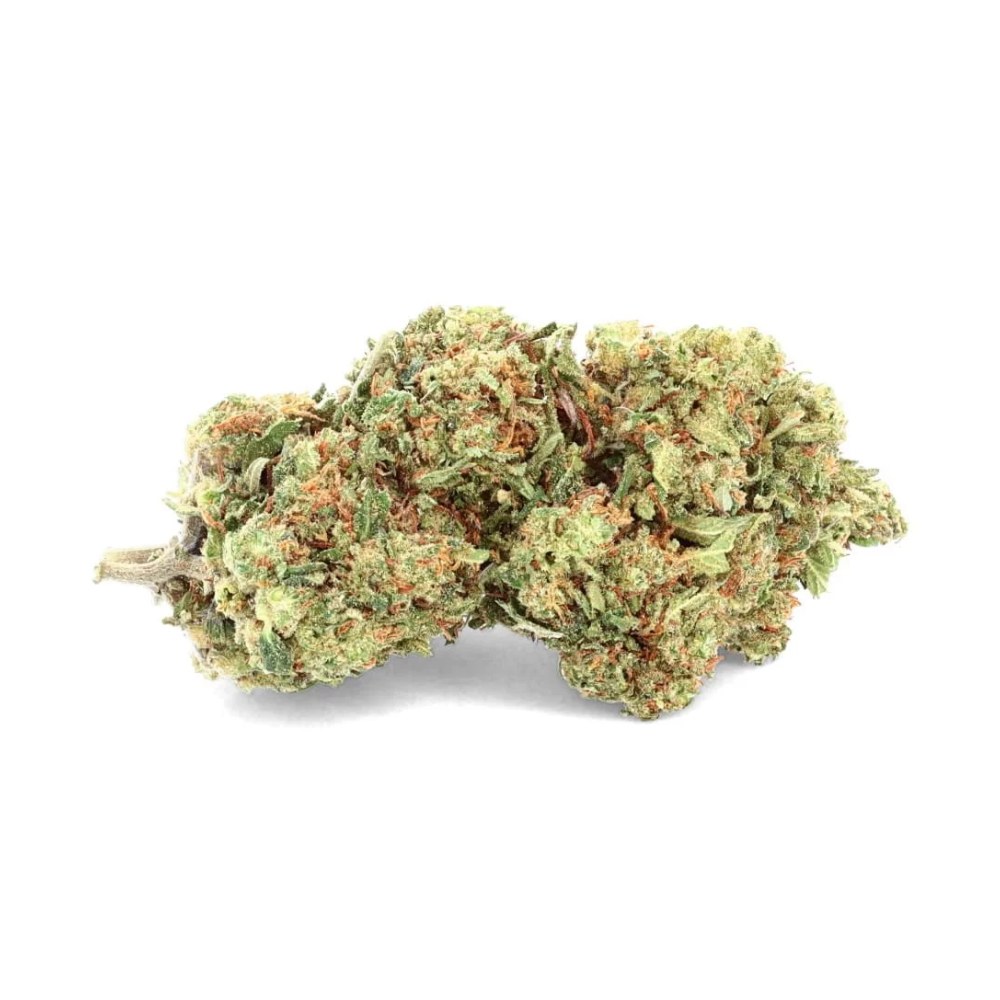 Purple Haze Premium indoor