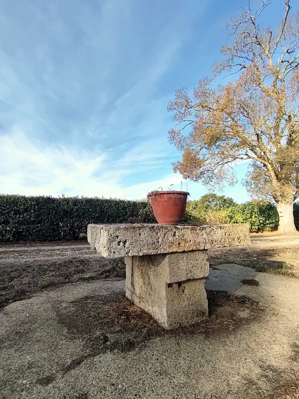 La table de pierre sous les grands arbres – Oh Manoir de Fimarcon, Lagarde-Fimarcon (Gers)